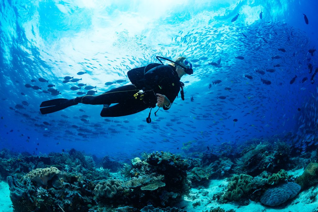 barbados
