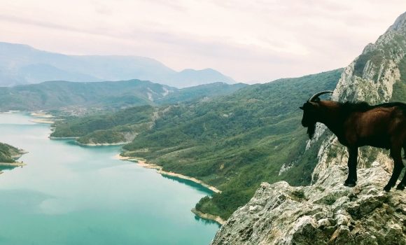 Albania, widok na góry