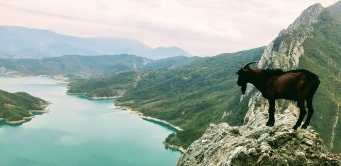 Albania, widok na góry