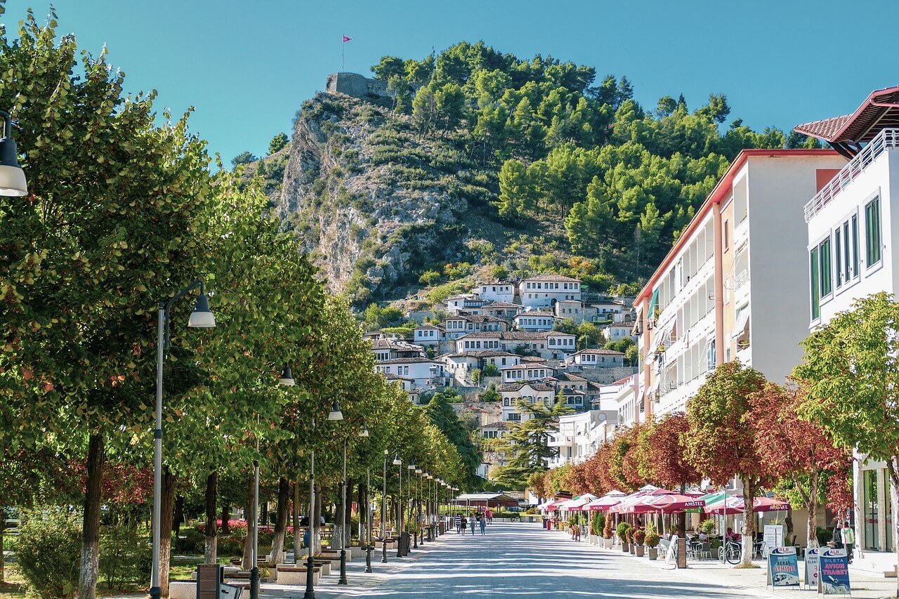 drzewa, lica domy na wzgórzu. Berat